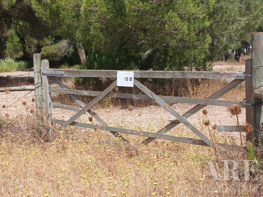 Parcela en venta en Santo Estevão, Benavente, Santarem