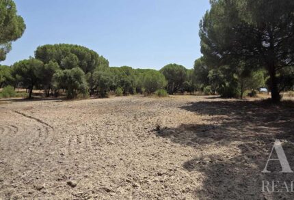 Parcela en venta en Santo Estevão, Benavente, Santarem