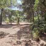 Parcela en venta en Santo Estevão, Benavente, Santarem - gallery image