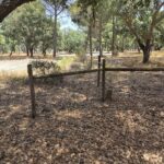 Parcela en venta en Santo Estevão, Benavente, Santarem - gallery image