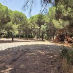 Parcela en venta en Santo Estevão, Benavente, Santarem - gallery image