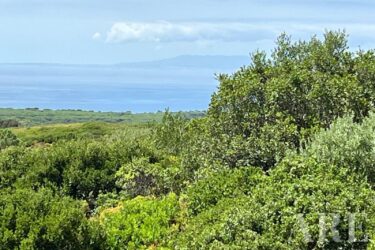 Parcela en venta en Sesimbra, Setubal