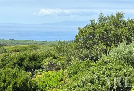 Parcela en venta en Sesimbra, Setubal