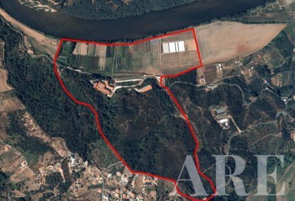 Villa Estudio en venta en Coimbra