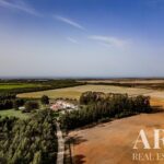 Villa 11 habitaciones en venta en Odemira, Beja • ARE37326 - gallery image