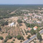 Parcela en venta en Melides, Grandola, Setubal &bull; ARE37642 - gallery image