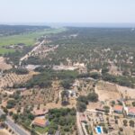 Parcela en venta en Melides, Grandola, Setubal &bull; ARE37642 - gallery image