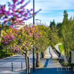 Parcela en venta en Native., Belas Clube de Campo, Sintra, Lisbon - gallery image