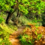 Apartamento 2 habitaciones en venta en Native, Belas Clube de Campo, Sintra, Lisbon - gallery image