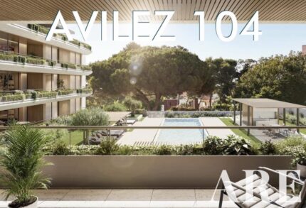 |Avilez 104 real estate development