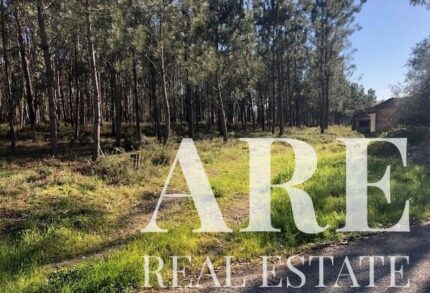 Parcela en venta en Pombal, Leiria