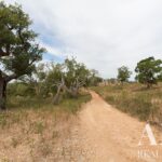 Parcela en venta en Santiago do Cacem, Setubal - gallery image