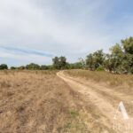 Parcela en venta en Santiago do Cacem, Setubal - gallery image