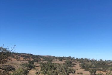 Parcela en venta en Cercal do Alentejo, Santiago do Cacem, Setubal