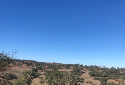 Parcela en venta en Cercal do Alentejo, Santiago do Cacem, Setubal
