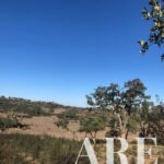 Parcela en venta en Cercal do Alentejo, Santiago do Cacem, Setubal - gallery image