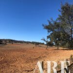 Parcela en venta en Cercal do Alentejo, Santiago do Cacem, Setubal - gallery image