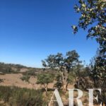 Parcela en venta en Cercal do Alentejo, Santiago do Cacem, Setubal - gallery image