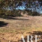 Parcela en venta en Cercal do Alentejo, Santiago do Cacem, Setubal - gallery image