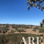 Parcela en venta en Cercal do Alentejo, Santiago do Cacem, Setubal - gallery image