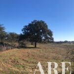 Parcela en venta en Cercal do Alentejo, Santiago do Cacem, Setubal - gallery image