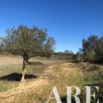 Parcela en venta en Cercal do Alentejo, Santiago do Cacem, Setubal - gallery image