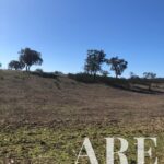 Parcela en venta en Cercal do Alentejo, Santiago do Cacem, Setubal - gallery image
