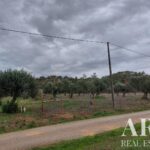 Parcela en venta en São Bartolomeu da Serra, Santiago do Cacem, Setubal • ARE31165 - gallery image