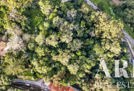 Casa de campo 9 habitaciones en venta en Sintra, Greater Lisbon