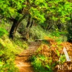 Apartamento Estudio en venta en Belas Clube de Campo, Sintra, Gran Lisboa &bull; ARE40161 - gallery image