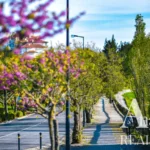 Apartamento Estudio en venta en NATIVE, Belas Clube de Campo, Sintra, Greater Lisbon &bull; ARE40161 - gallery image