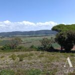 Parcela en venta en Nazaré, Leiria &bull; ARE33734 - gallery image