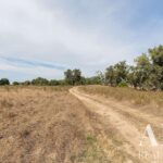 Casa de campo Estudio en venta en Santiago do Cacem, Setubal - gallery image