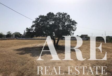 Parcela en venta en Palmela, Setubal