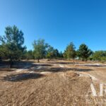 Parcela en venta en Lagoa de Santo André, Santiago do Cacem, Setubal &bull; ARE31017 - gallery image