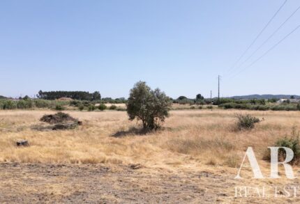 Propriété Studio à vendre à