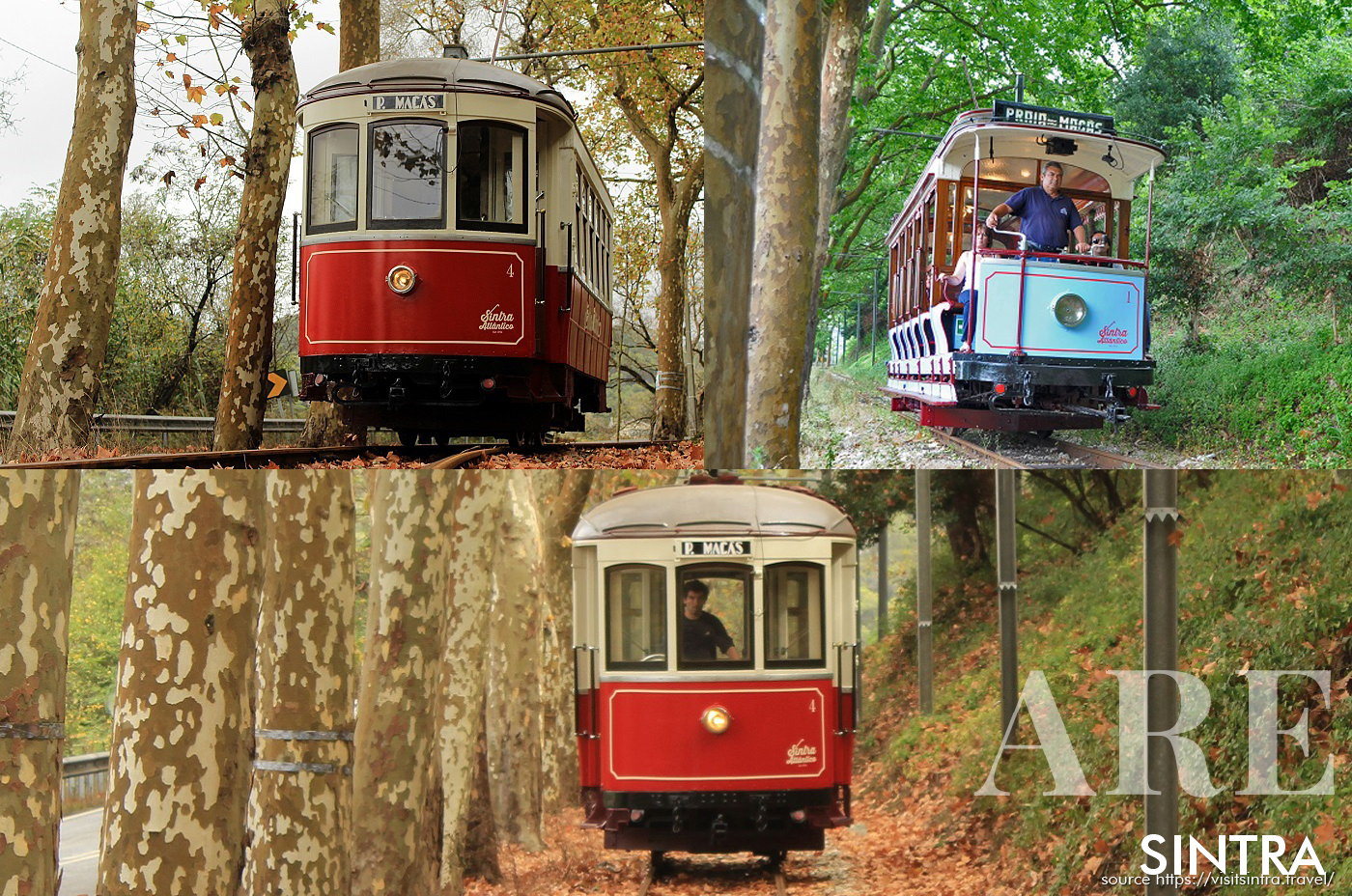 Voyagez à bord du tramway de Sintra à travers des paysages pittoresques, de la ville historique de Sintra à la plage côtière das Maçãs, avec des arrêts dans des vignobles et des musées d'art renommés, tout en choisissant entre une calèche à toit ouvert ou traditionnelle.