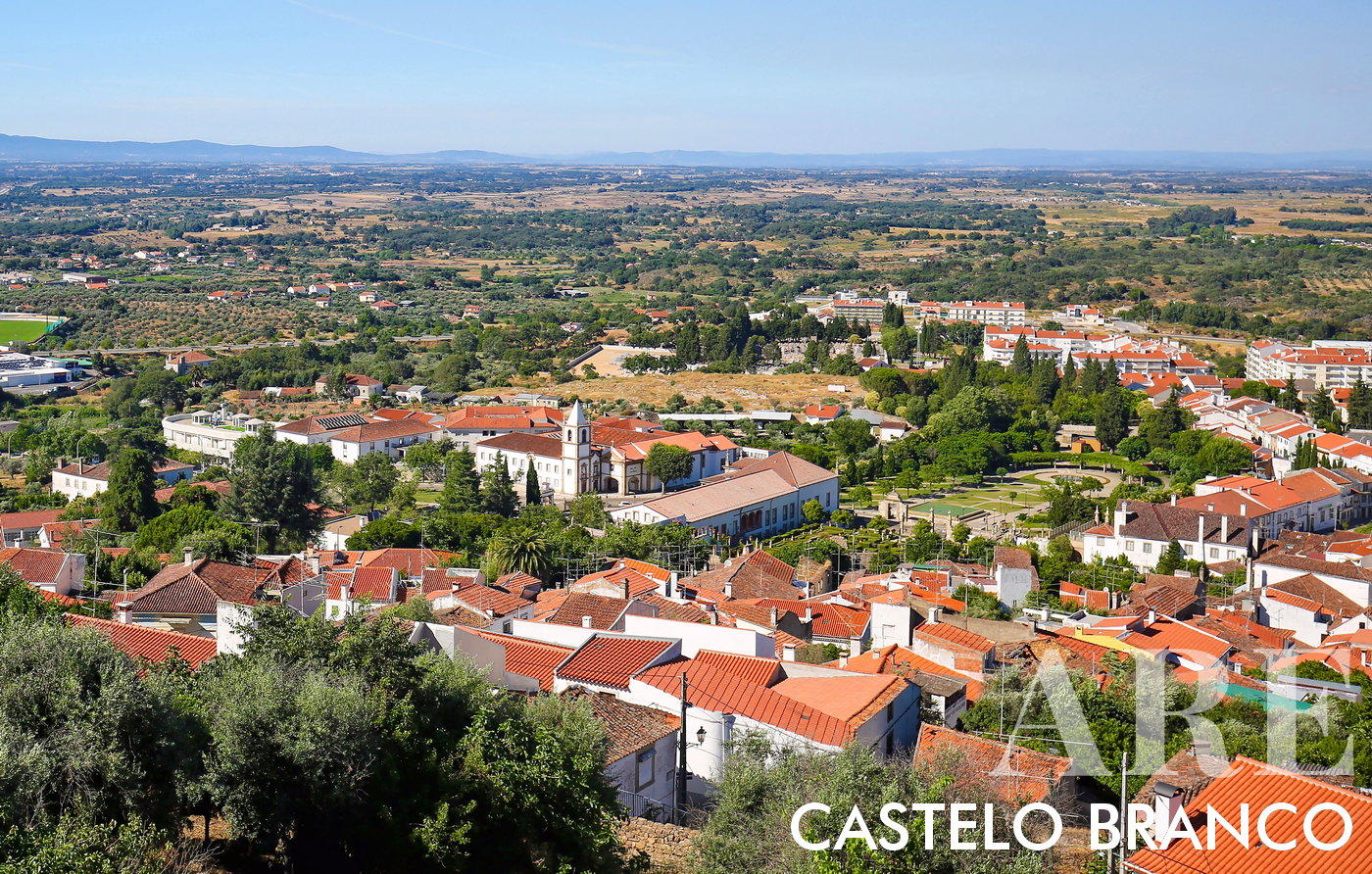 Vue de la ville de Castelo Branco depuis le Parque do Barrocal, avec l'église principale, le musée Francisco Tavares Proença Jr., le Jardim do Paço Episcopal, le Parque da Cidade et les toits des maisons traditionnelles