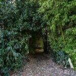 Manoir 10 chambres à vendre à Elvas, Portalegre - gallery image