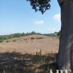 Terrain à vendre à São Teotónio, Odemira, Beja &bull; ARE28673 - gallery image