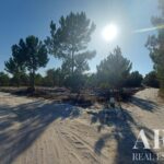 Terrain à vendre à Lagoa de Santo André, Santiago do Cacem, Setubal - gallery image