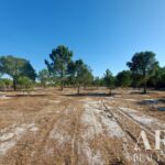 Terrain à vendre à Lagoa de Santo André, Santiago do Cacem, Setubal - gallery image