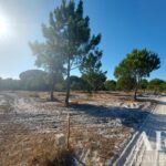 Terrain à vendre à Lagoa de Santo André, Santiago do Cacem, Setubal - gallery image