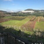 Villa Studio à vendre à Coimbra • ARE33858 - gallery image