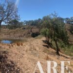 Terrain à vendre à São Bartolomeu da Serra, Santiago do Cacem, Setubal - gallery image