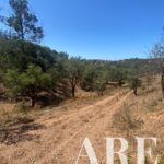 Terrain à vendre à São Bartolomeu da Serra, Santiago do Cacem, Setubal - gallery image