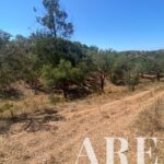 Terrain à vendre à São Bartolomeu da Serra, Santiago do Cacem, Setubal - gallery image