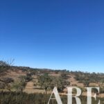 Terrain à vendre à Cercal do Alentejo, Santiago do Cacem, Setubal &bull; ARE29939 - gallery image