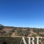 Terrain à vendre à Cercal do Alentejo, Santiago do Cacem, Setubal &bull; ARE29939 - gallery image