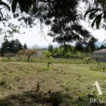 Maison de ferme 8 chambres à vendre à Miranda do Corvo, Coimbra - gallery image